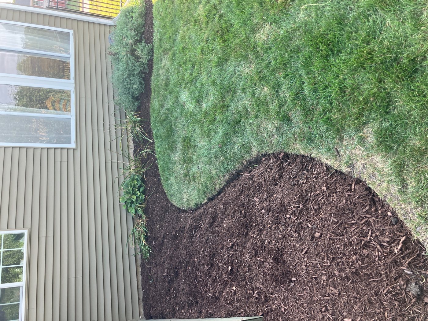 Freshly mulched garden bed with a clean curved edge against the lawn